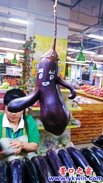 conew_img_20130705_173914_conew1