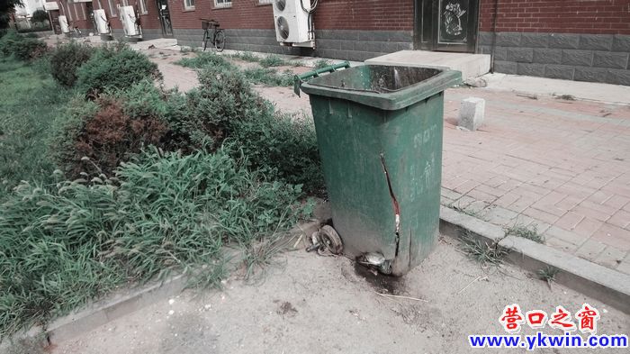 7900_19551312608900cfc266ab27f01b7