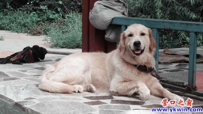 7914_4fa51312763010342ef9db408134e