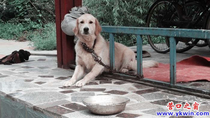 7914_eeb7131276300668504f0edc538dc