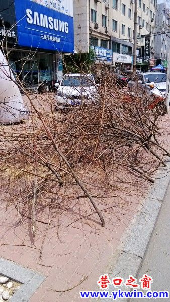 IMG_20130714_120200_conew1