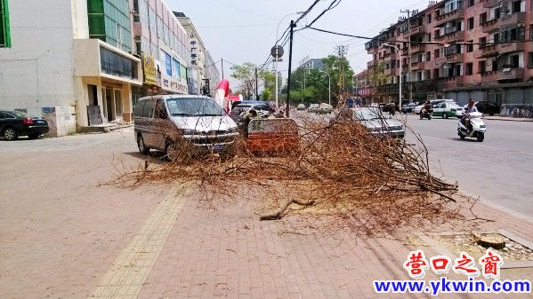 IMG_20130714_120314_conew1