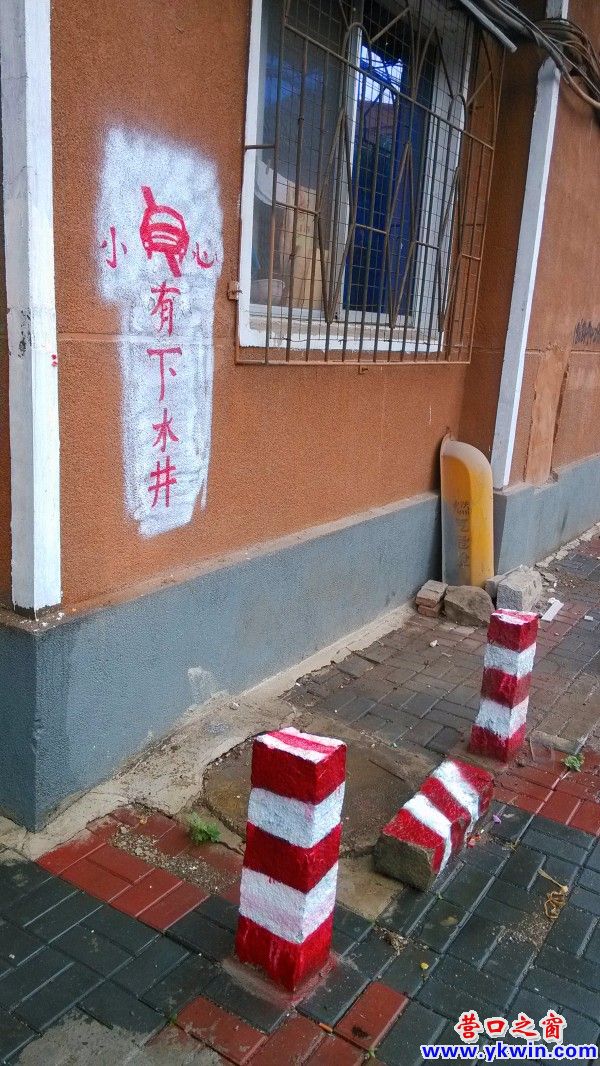 conew_img_20130716_121440