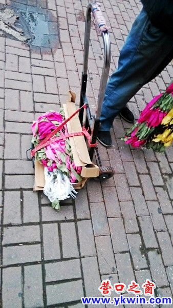 conew_img_20130622_173055_conew1