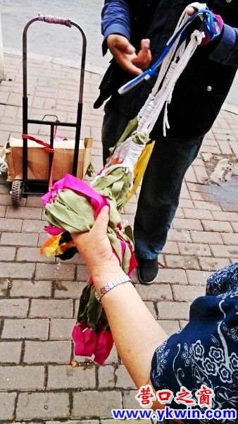 conew_img_20130622_173146_conew1