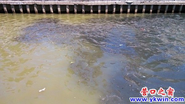 conew_img_20130731_130114