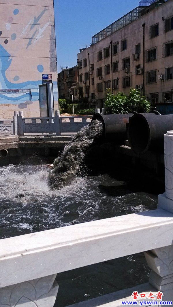 conew_img_20130731_130220