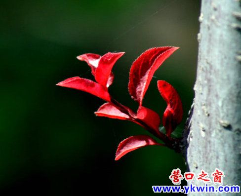 DSC_2847_鍓?湰_鍓?湰