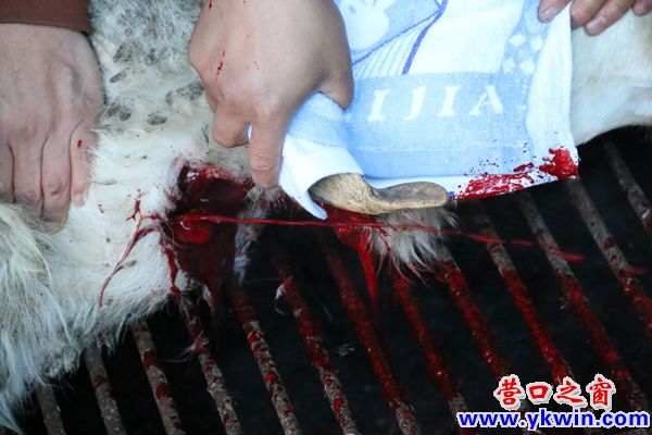 穆斯林節(jié)日——6  一道紅線射出