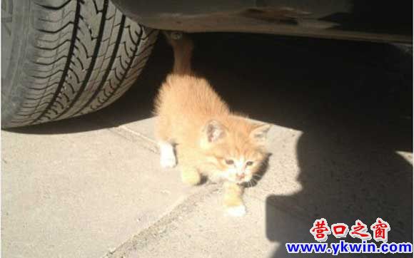 Y1F)Z9OOA1@L$~7BY3APWOV