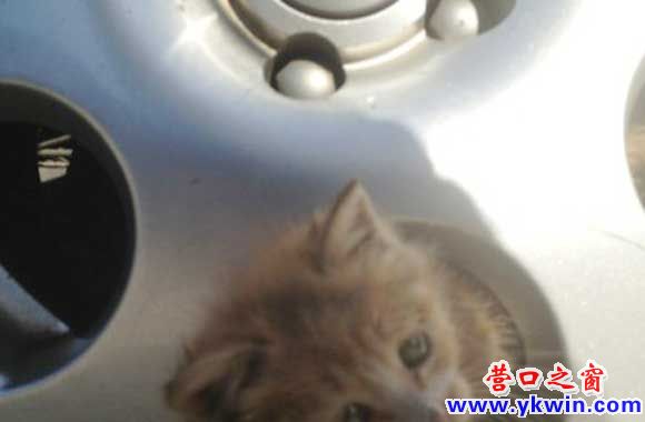 FW9I5H5P@H8G[)O39BN08V9