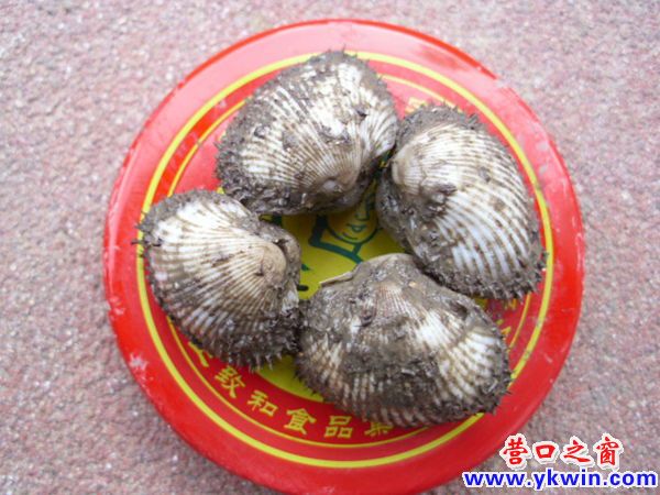 222222222222222222222