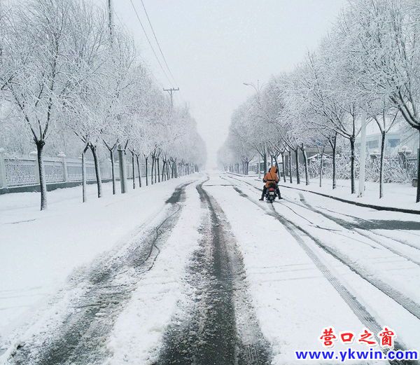 雪后電動(dòng)車