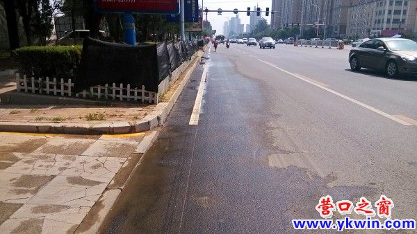 conew_img_20140803_101202