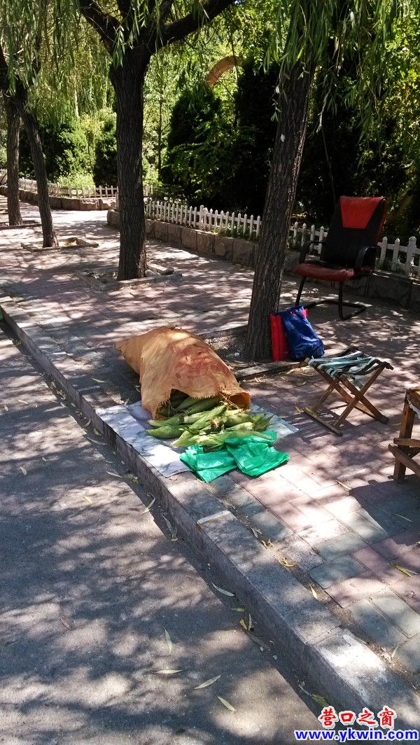 conew_img_20140812_124823