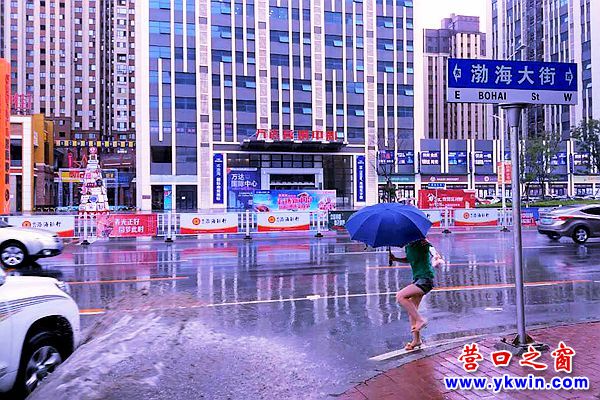 豐田霸道2_副本