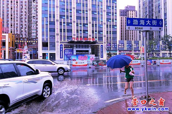 豐田霸道3_副本