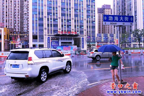 豐田霸道4_副本