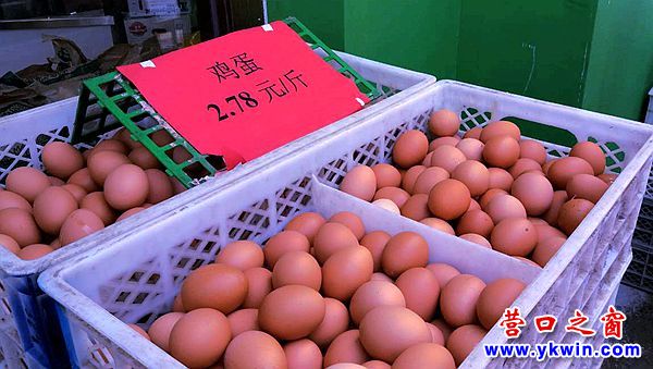 特價雞蛋3_副本