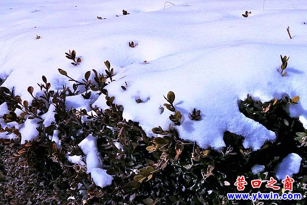 入冬最大降雪6