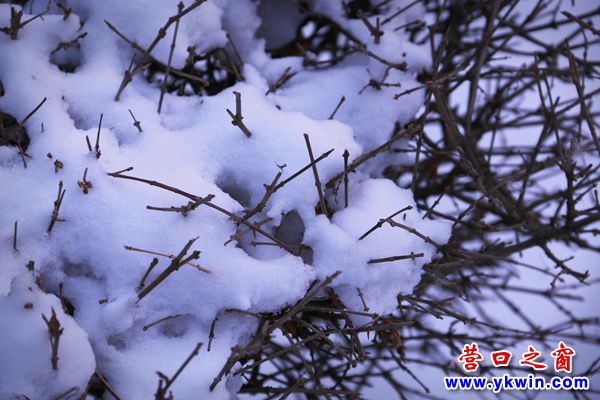 第一場(chǎng)雪5