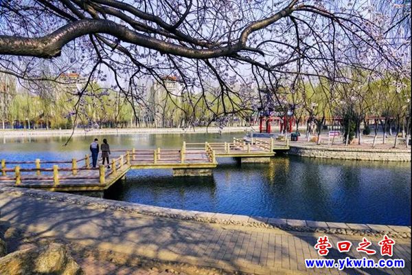 站前區(qū)攝影家展品4