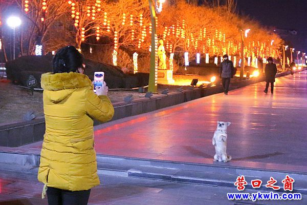 節(jié)日楞嚴寺2