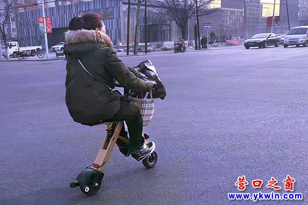 折疊電動車1