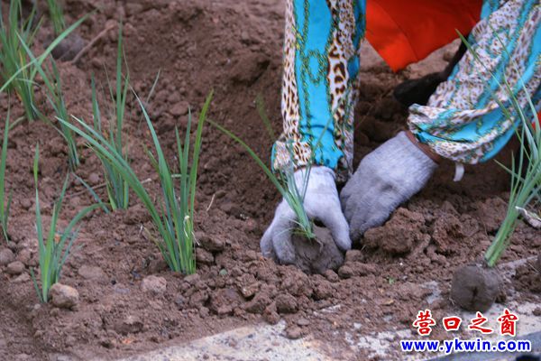 公園外墻“換裝”2