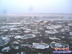 營(yíng)口遼河一九驚現(xiàn)朵朵冰盤