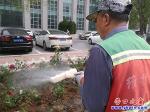 公共設(shè)施維護(hù)集團(tuán)：大街花卉 “洗澡除塵”