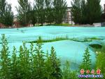 營(yíng)口市遼河大街邊：防塵網(wǎng)變成了防塵棚