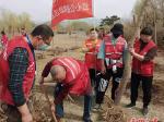 紅心公益救助志愿服務(wù)隊(duì)公益植樹(shù)