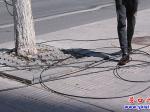啥情況？人行道滿地都是電纜線