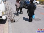 南海路：樹(shù)枝充當(dāng)“警示牌”