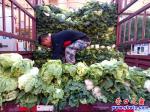 營(yíng)口市大菜市快訊：今秋大菜市前奏曲奏響