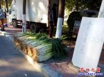 營(yíng)口市大菜市：大蔥蘿卜貴白菜稀