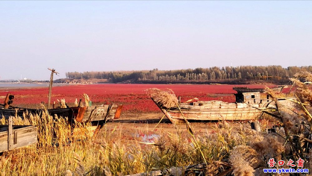 蓋洲遼寧團(tuán)山國家級海洋公園