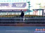 營口市：安上護(hù)欄，行人照樣橫穿市府路