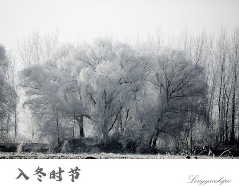 營(yíng)口：現(xiàn)霧凇奇觀(guān)